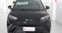 BYD Dolphin Mini – 2025