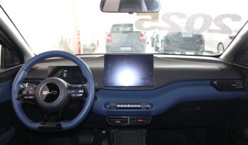  BYD Dolphin Mini – 2025  cheio
