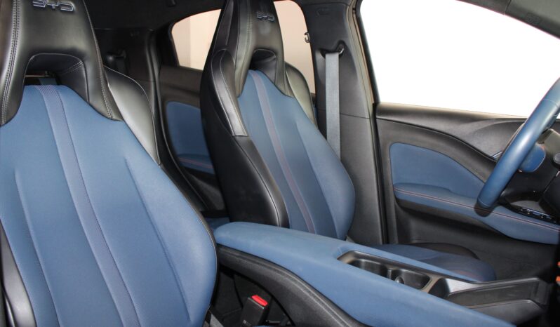  BYD Dolphin Mini – 2025  cheio
