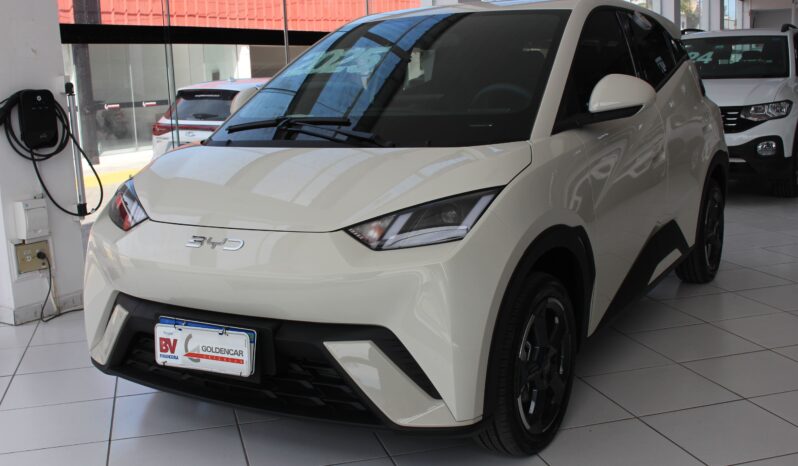  BYD Dolphin Mini – 2025  cheio