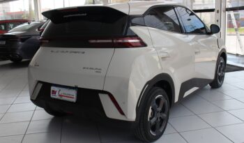  BYD Dolphin Mini – 2025  cheio