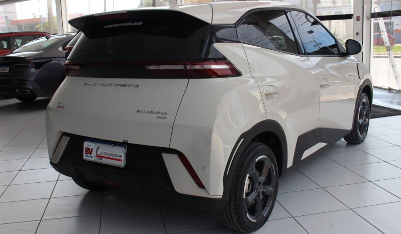  BYD Dolphin Mini – 2025  cheio