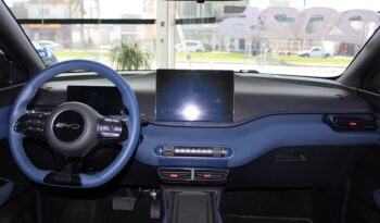  BYD Dolphin Mini – 2025  cheio