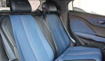  BYD Dolphin Mini – 2025  cheio