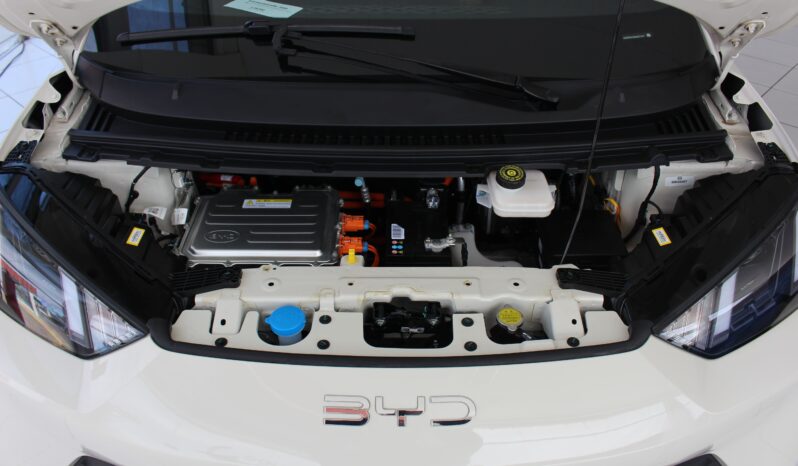  BYD Dolphin Mini – 2025  cheio