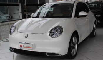  GWM Ora Skin – 2024  cheio