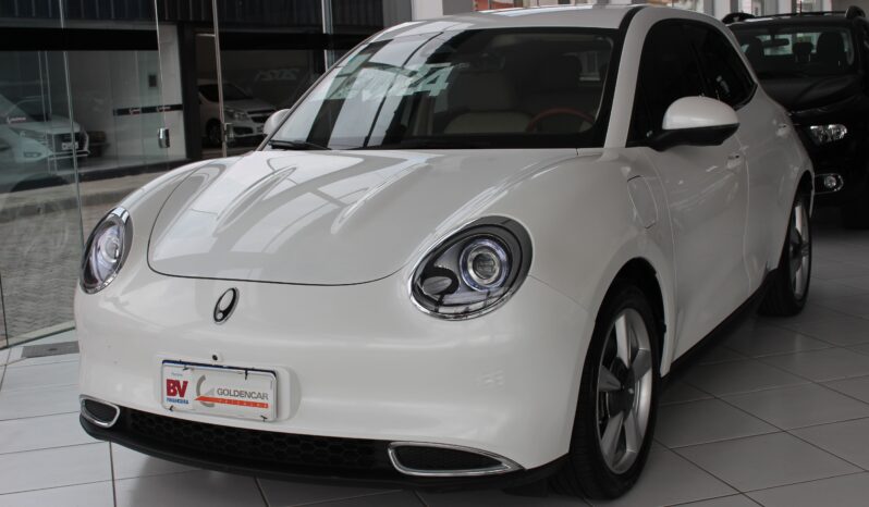  GWM Ora Skin – 2024  cheio