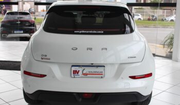  GWM Ora Skin – 2024  cheio