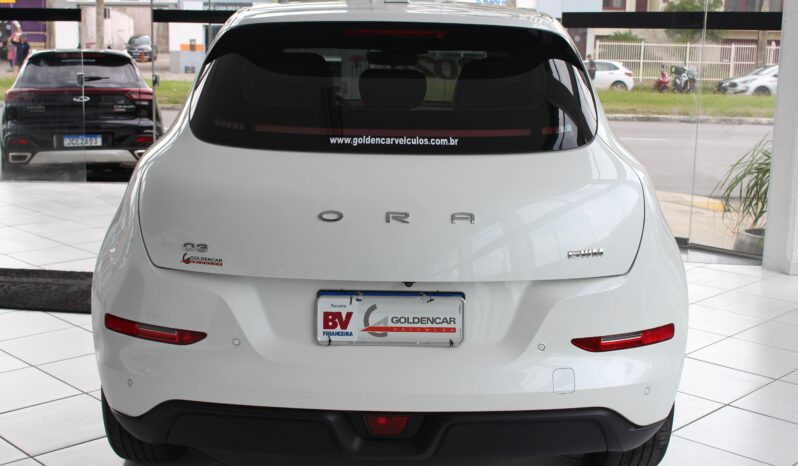  GWM Ora Skin – 2024  cheio