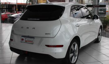  GWM Ora Skin – 2024  cheio