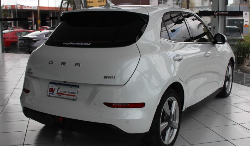  GWM Ora Skin – 2024  cheio