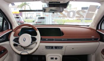  GWM Ora Skin – 2024  cheio