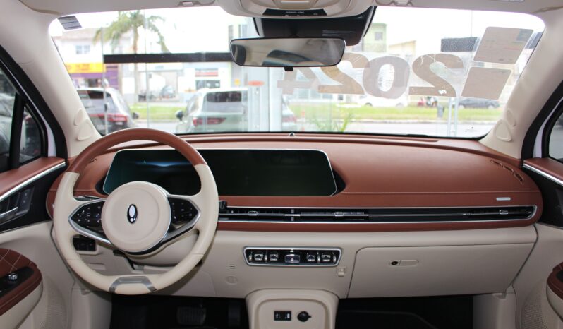  GWM Ora Skin – 2024  cheio