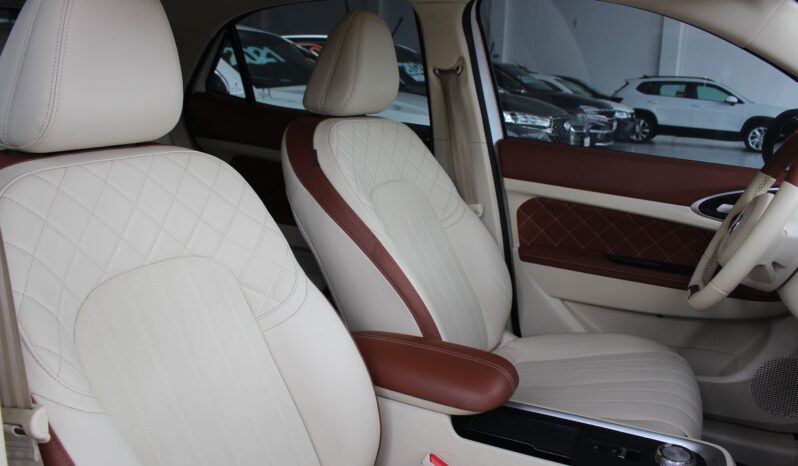  GWM Ora Skin – 2024  cheio