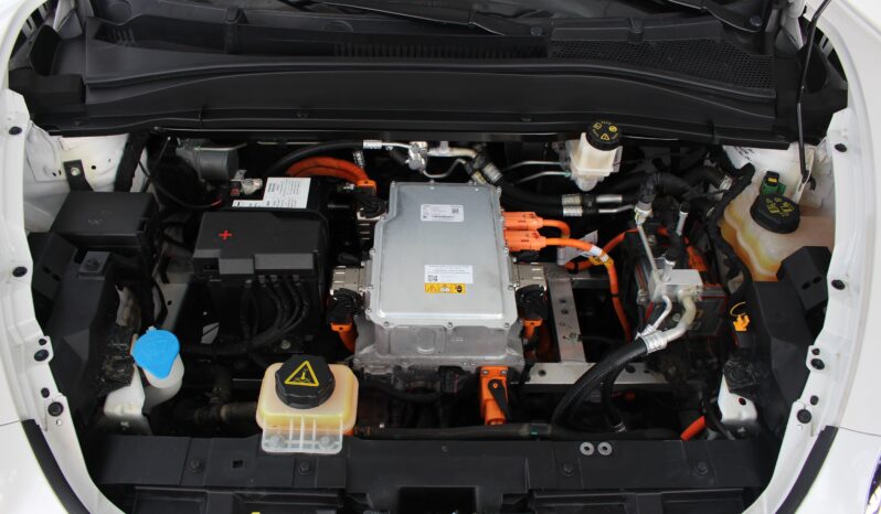  GWM Ora Skin – 2024  cheio